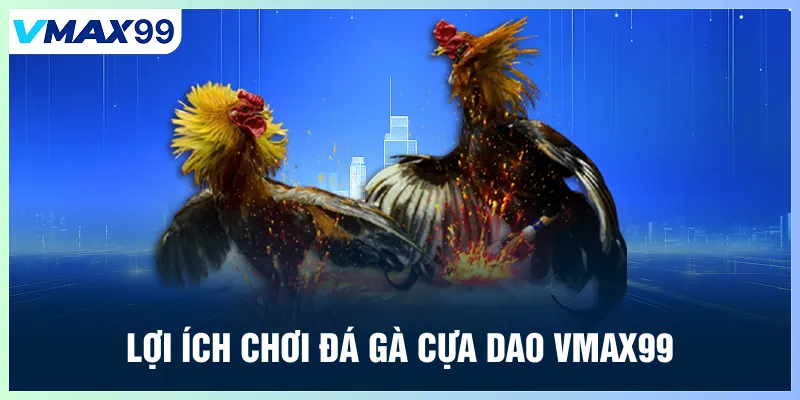Lợi ích chơi đá gà cựa dao Vmax99