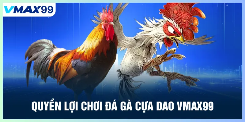 Quyền lợi chơi đá gà cựa dao Vmax99