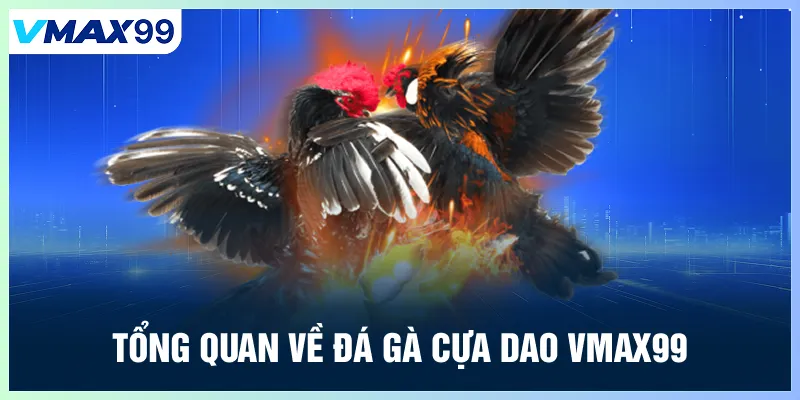 Tổng quan về đá gà cựa dao Vmax99
