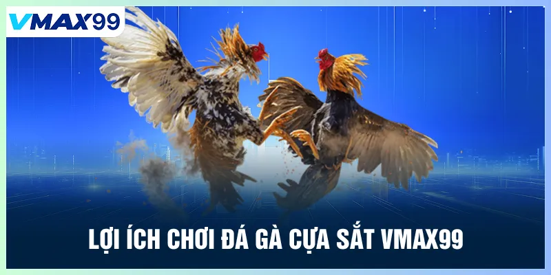 Lợi ích chơi đá gà cựa sắt Vmax99