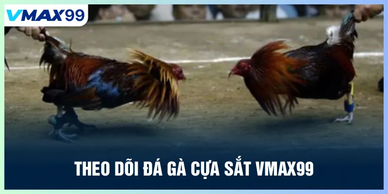 Theo dõi đá gà cựa sắt tại Vmax99