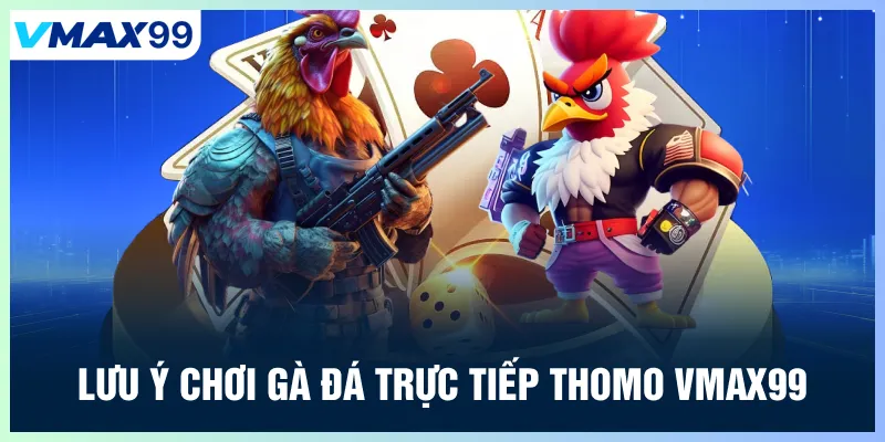 Lưu ý khi chơi gà đá trực tiếp thomo Vmax99