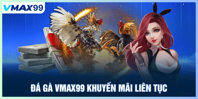 Đá gà Vmax99 khuyến mãi liên tục