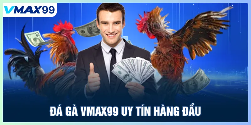 Đá gà Vmax99 uy tín hàng đầu