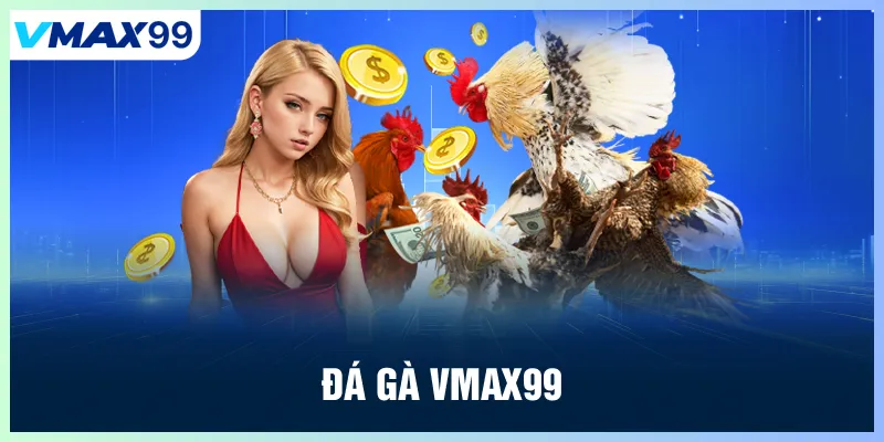 Đá gà Vmax99 - Trận đấu siêu kinh điển